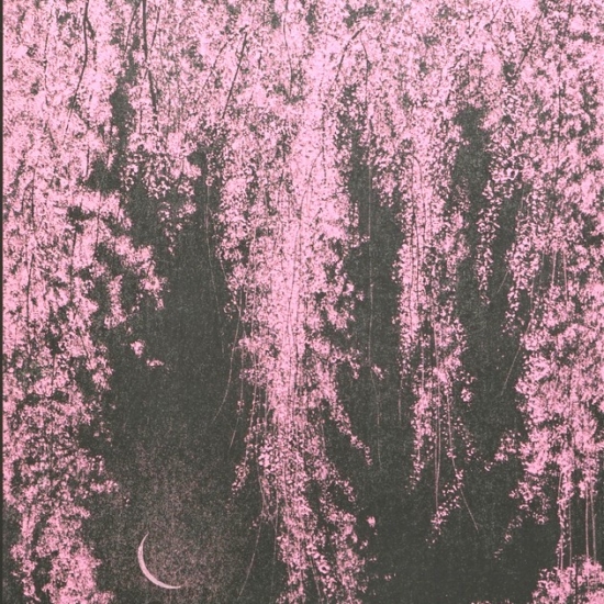 千住博の絵画作品　タイトルは、メタルサクラ＃2
